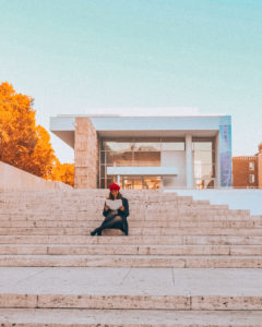 Museo dell'Ara Pacis Roma