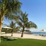 spiaggia con palme Hotel Traders Abu Dhabi