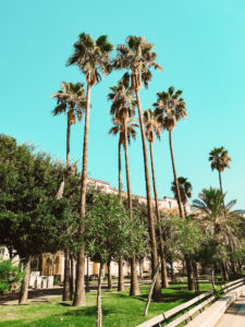 lungomare di palme di Salerno soprannominato Saifornia