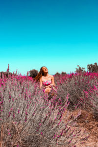 ragazza in un campo di lavanda a Tuscania nel Viterbese, Tuscia, Italia