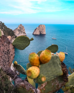 Giardini di Augusto Capri Itinerario di 4 giorni tra Costiera Amalfitana, Sorrentina e Capri