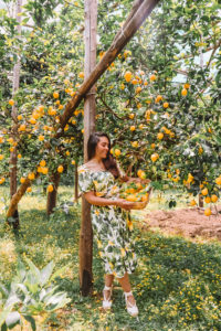 Limonaia sorrento Itinerario di 4 giorni tra Costiera Amalfitana, Sorrentina e Capri