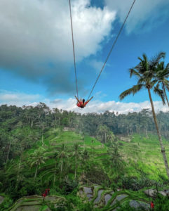 altalena sulle risaie di tegalalang ubud bali indonesia