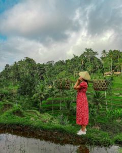 risaie di tegalalang ubud