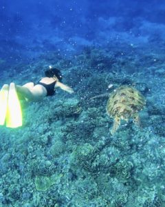 Cosa fare alle Isole Gili nuotare con le tartarughe