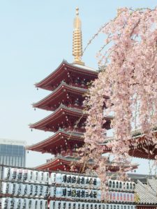 Tokyo Asakusa ciliegi Cosa vedere e fare a Tokyo in tre giorni