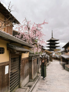 cosa vedere e fare a kyoto in quattro giorni Hokan ji temple