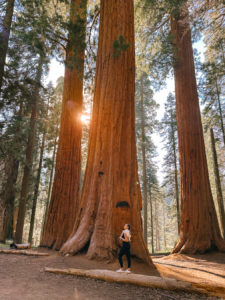 cosa vedere nel Sequoia National Park eleutha Guendalina Stabile