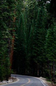 entrata Sequoia National Park