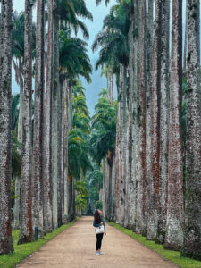 Jardim Botanico Cosa vedere e fare a Rio de Janeiro.JPG