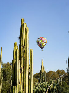 Volo in mongolfiera a Teotihuacán