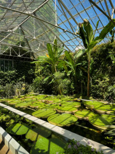 Giardini di Villa Taranto Verbania