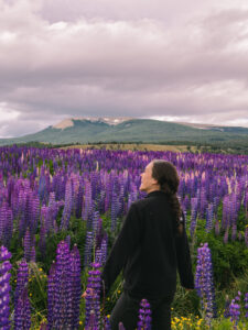 Itinerario di 13 giorni in Patagoniaeleutha Guendalina Stabile