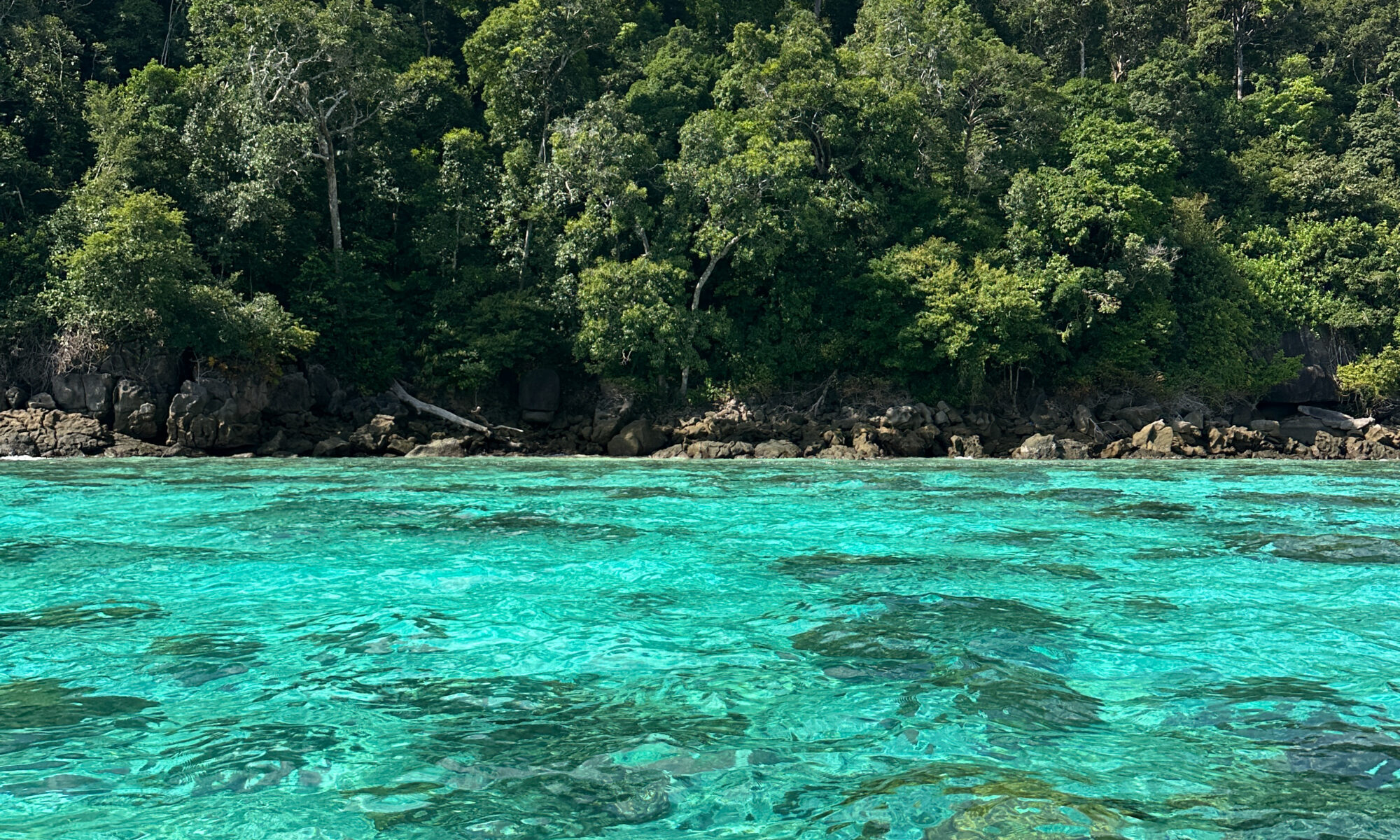 COSA VEDERE ALLE ISOLE SURIN IN THAILANDIA