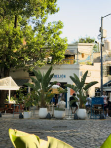 Quartiere palerno cosa vedere a buenos aires